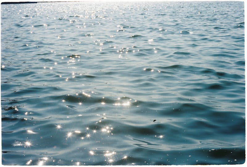 Dions kitchen team preparing fresh pizza